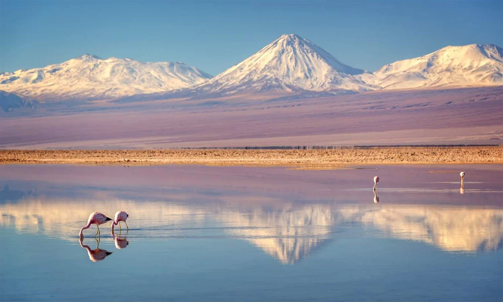 Uyuni Salt Flats Tour from San Pedro de Atacama | 3D/2N
