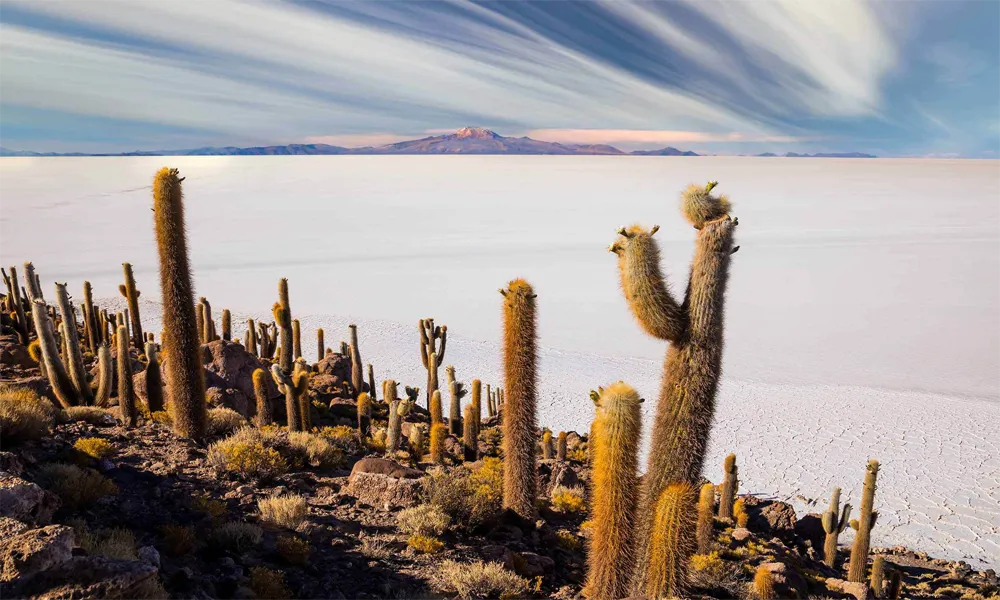 salar de uyuni desde lima