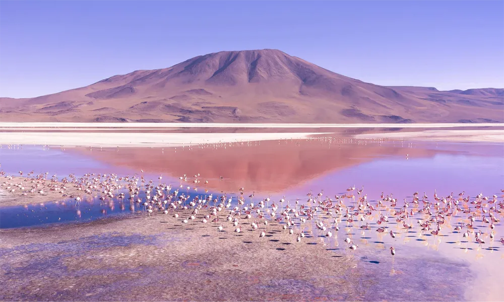 Lagoas incríveis em Uyuni – Um tesouro natural