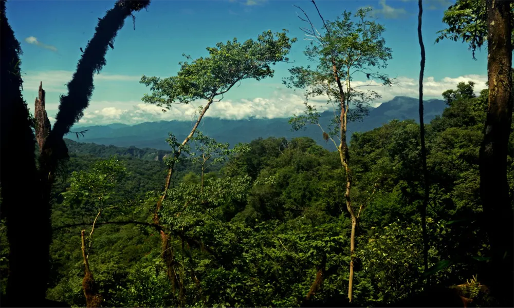 Tariquía National Reserve of Flora and Fauna