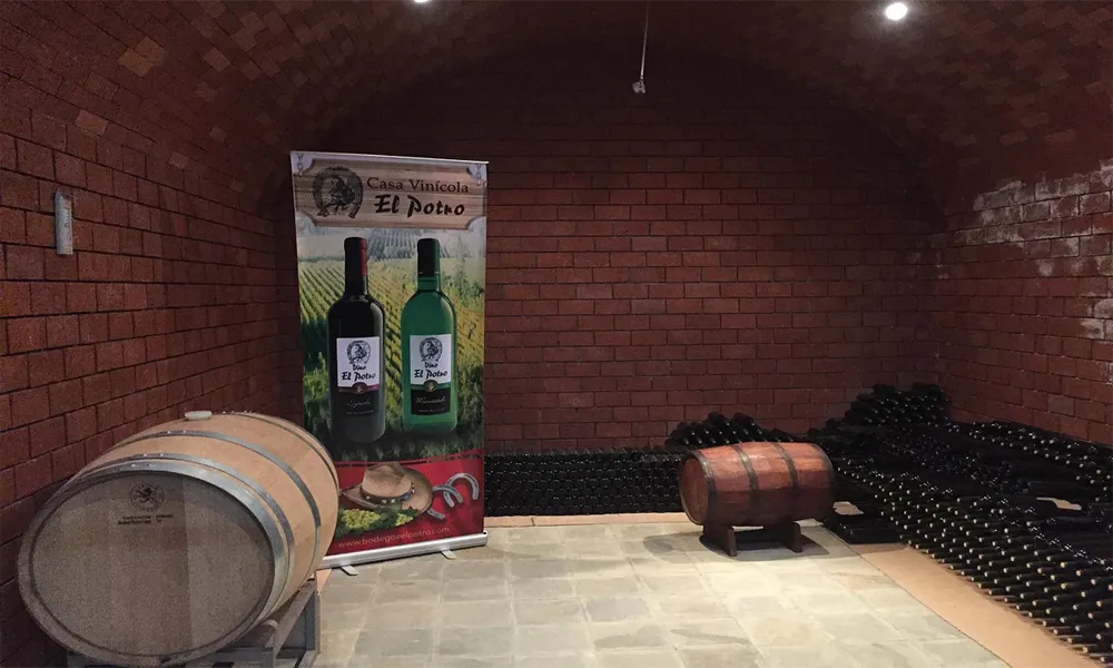 Casa Vinícola El Potro: Tradición y Sabor Tarijeña