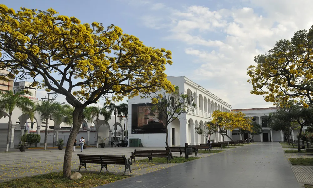 Espaço de Arte Manzana Uno – Santa Cruz