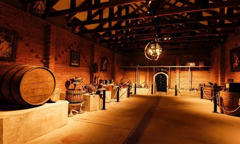 Magnus Wineries: Character, Altitude and Passion