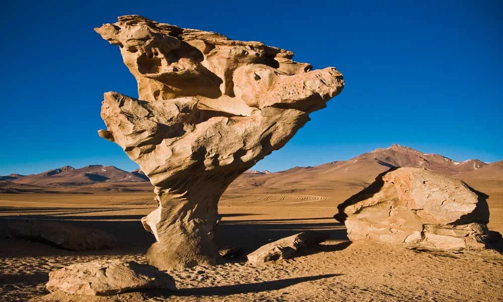 Árvore de Pedra: A escultura natural do deserto