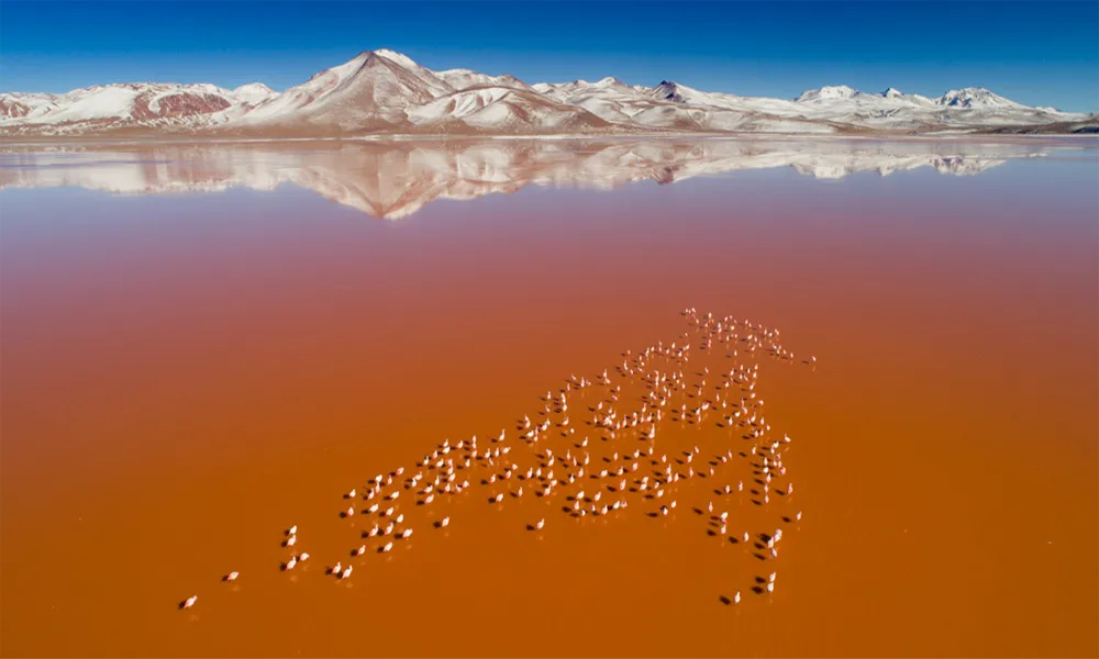 Tour Salar de Uyuni desde Lima | 4D/3N