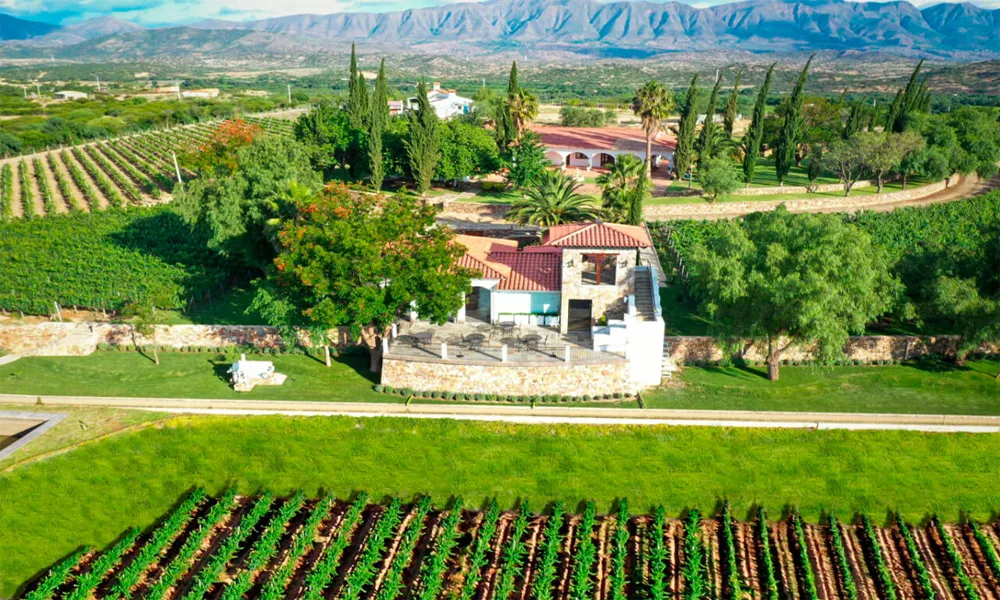 “Aranjuez” Wineries in Tarija: Among Vineyards, History and Flavors